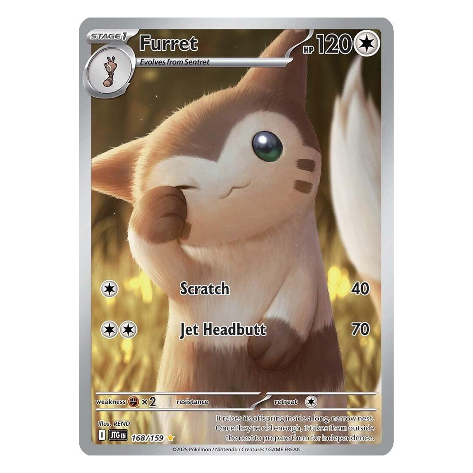 Furret